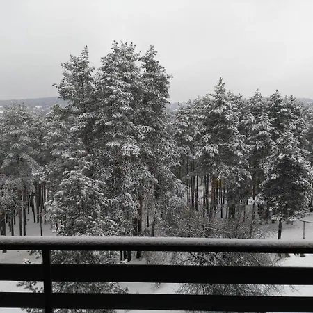 Violet Apartman Zlatibor