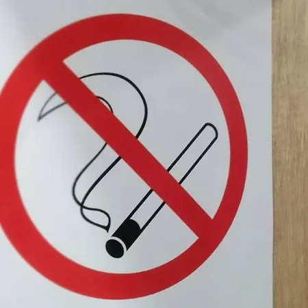 Violet Apartman Zlatibor