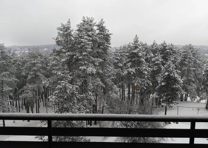 Violet Apartamento Zlatibor