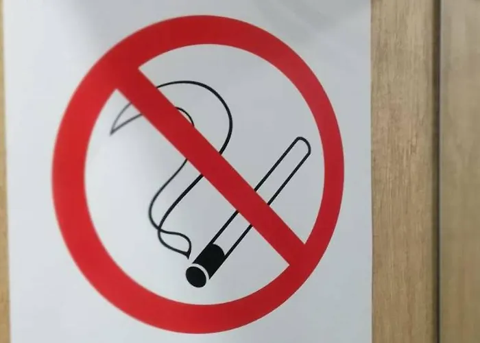 Violet Apartamento Zlatibor